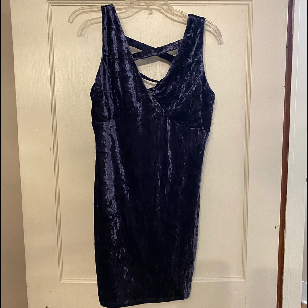 the impeccable pig blue velvet dress